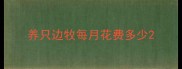 养只边牧每月花费多少