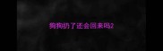 狗狗扔了还会回来吗