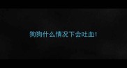 狗狗什么情况下会吐血