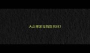 大庆哪家宠物医院好