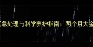 幼犬腹泻呕吐的紧急处理与科学养护指南两个月大金毛犬肠胃问题全