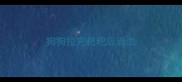 狗狗拉完粑粑后滴血
