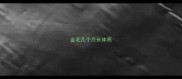 金毛几个月长体高