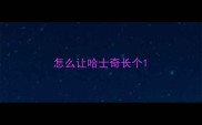 怎么让哈士奇长个