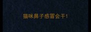 猫咪鼻子感冒会干