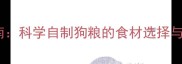 边境牧羊犬7月龄营养指南科学自制狗粮的食材选择与配方搭配附详细食谱