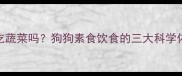 哈士奇真的爱吃蔬菜吗狗狗素食饮食的三大科学依据与实操指南