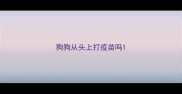 狗狗从头上打疫苗吗