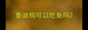 泰迪狗可以吃鱼吗