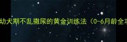 杜宾犬幼犬期不乱撒尿的黄金训练法0-6月龄全攻略