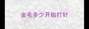 金毛多少开始打针