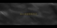 哈尔滨宠物寄养店