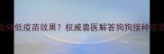 打疫苗前洗澡会降低疫苗效果权威兽医解答狗狗接种疫苗前洗澡全攻略