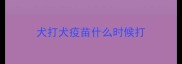 犬打犬疫苗什么时候打