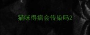 猫咪得病会传染吗