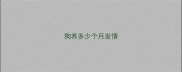 狗养多少个月发情