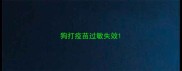狗打疫苗过敏失效