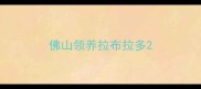 佛山领养拉布拉多