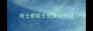 哈士奇能长到多少个月