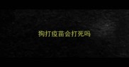 狗打疫苗会打死吗