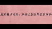 拉布拉多全周期养护指南从幼犬到老年的科学护理全攻略