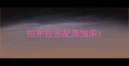 拉布拉多配高加索