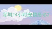 深圳24小时宠物急诊