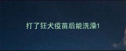 打了狂犬疫苗后能洗澡