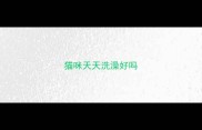猫咪天天洗澡好吗
