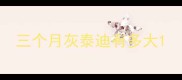 三个月灰泰迪有多大