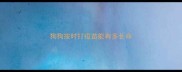 狗狗按时打疫苗能有多长命