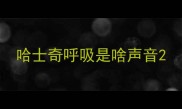 哈士奇呼吸是啥声音