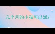 几个月的小猫可以活