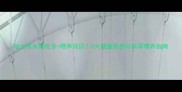 哈士奇长期吃多喂养误区5大健康隐患与科学喂养指南