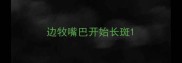 边牧嘴巴开始长斑