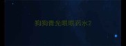 狗狗青光眼眼药水