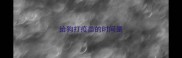 给狗打疫苗的时间是