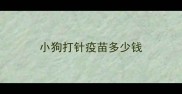 小狗打针疫苗多少钱