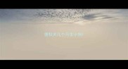 德牧犬几个月生小狗