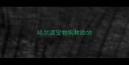 哈尔滨宠物狗救助站