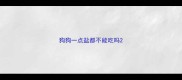 狗狗一点盐都不能吃吗
