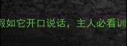 哈士奇拆家100种原因假如它开口说话主人必看训练指南附科学训练方案