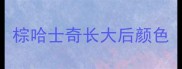 棕哈士奇长大后颜色