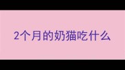 2个月的奶猫吃什么