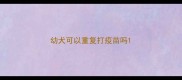 幼犬可以重复打疫苗吗