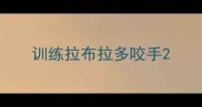 训练拉布拉多咬手