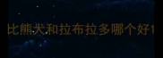 比熊犬和拉布拉多哪个好