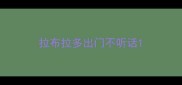 拉布拉多出门不听话