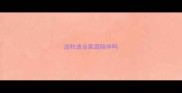 边牧适合家庭陪伴吗