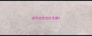 成年边牧拉红色稀